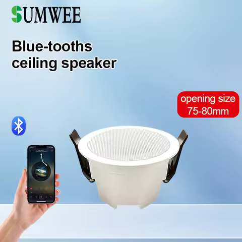 MINI Bluetooths Ceiling Speakers Stereo sound Indoor home audio Background music system For Bathroom