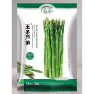 Ready Stock Quick Shipment Jade Strips Asparagus Seeds Seeds Seeds Seed Roots High-Produced Four Sea