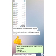 Forex Flare Robot V1.0 MT5 + Set Files