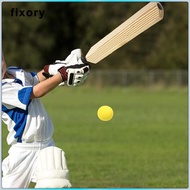 fixory Kids Cricket Bat Set Practice Children Cricket Bat for Backyard Kids Outdoor