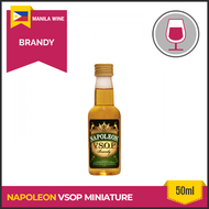 Napoleon - VSOP - 50ml Miniature  Filipino Brandy
