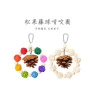 🇲🇾 Ready Stock | Parrot Chew Toy for Small & Large Birds 解压益智啃咬磨嘴磨牙玩具（适合大小型鹦鹉）