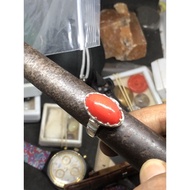 cincin marjan merah asli