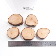 Wood Slice 5-7 cm