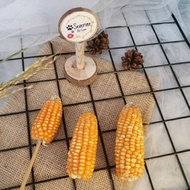 Mini Chew Corn stick hamster Corn Crystal Chew Bitenatural | Mini corn hamster spray | Hamster cage 