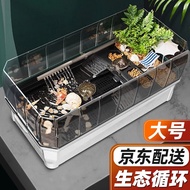 茨格曼 乌龟缸特大号专用饲养生态缸别墅家用大型晒台巴西龟小型造景养殖养龟箱盆屋房子 白色 大号全套装【滤材+造景+过滤器】