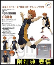 日版 附特典排球少年 figma 日向翔陽 可動 PVC D1104