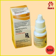 ❧ ๑ ◄ ISORE (Dexamethasone + Neomycin + Polymyxin B) Eye Drops 5mL