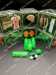 ( 2 HỘP ) khớp xanh Malaysia Professors pil hộp 20 ống hỗ trợ xương khớp