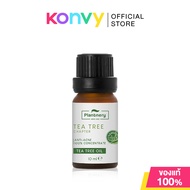 Plantnery Tea Tree  Oil Concentrate 10ml แพลนท์เนอรี่ น้ำมันที ทรีเข้มข้น สำหรับแต้มสิว