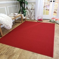 Carpet Area Rug with Edging 5x7ft for Living Room Bedroom Decoration Modern Carpet