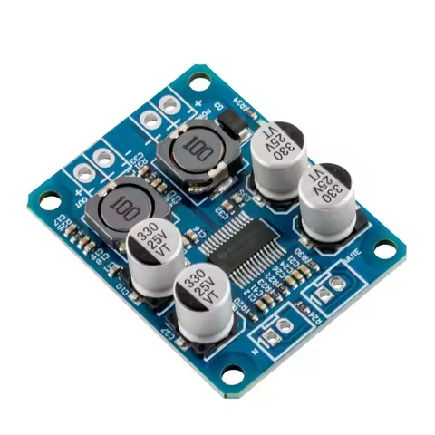 DC 12V-24V TPA3118 60W Mono Digital Audio Power Amplifier Board Amp Module