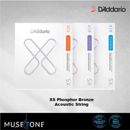 D’Addario XS Series (Phosphor Bronze) Acoustic String 10-47 ,11-52 , 12-53 Size