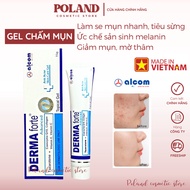 Derma Forte Gel reduces acne and dark spots with azelaic acid regular version Advanced 15gr