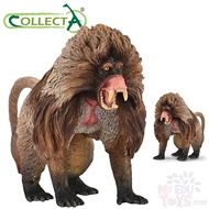 Gelada (Baboon) - Collecta 80066 Wild Life Animal Action Figurine /Figure Collection For Boys, Girls