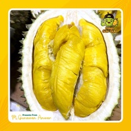 Ready Gan Durian Musang King Fresh Malaysia Duren Utuh 1 Buah Harga/Kg Ready Gan