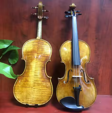 Professional violinist Violin 4/4 Bohemia maple Antonio Stradivarius 바이올린 كمان vionlin musical instr