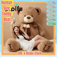 （COD)Ready Stock 180/200cm teddy bear human size teddy bear for girls purple  teddy bear for girls s