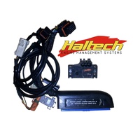 Haltech E8.E11V2 Nissan SR20 Patch Loom