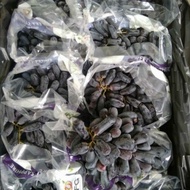 Terbaru Buah Anggur Hitam Panjang/Usa Long Black Grapess Autumn Seedless 1 Kg Best Quality