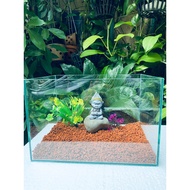 Combo mini desktop fish tank small size 20X15X20cm, betta fish tank GRINDING EDGES TO EAT WHOLELY