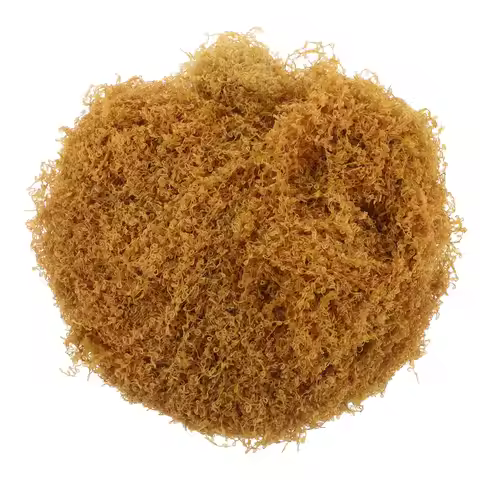 Faux Reindeer Moss Artificial Grass Realistic Look for Indoor Plants Terrarium Fairy Garden Craft Mo