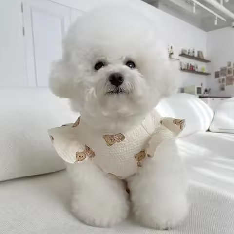 Beige Pet Traction T-shirt Teddy Cartoon Summer Clothes Poodle Soft Two-legged Clothes Puppy Legging