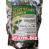 Heavy Weight Tandem 500grams, bigger and sweeter harvest, Foliar fertilizer for vegetables, rice, co