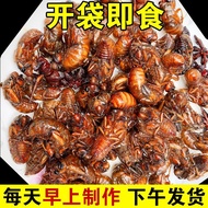 Golden Silkworm Cicada pupa crawling fork insect Golden Cica Golden Silkworm Cicada Cicada Cicada Ci