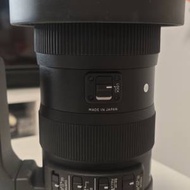 Sigma 60-600mm OS (Canon mount)
