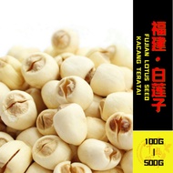 【福建】白莲子 FUJIAN LOTUS SEED / KACANG TERATAI
