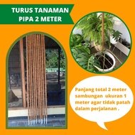 Plant Support Stakes 2 meters, 150cm, 1 meter pipe