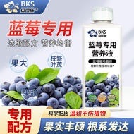 Blueberry Dedicated Nutrition Liquid Fruit Plump Roots Development Branches Fanyemao Family Balcony 