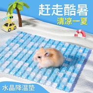 Hamster Igloo Hamster Cooling Hamster Igloo Mat Hamster Igloo Hamster Cooling Board Golden Bear Guin
