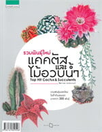 รวมพันธุ์ใหม่ แคคตัสและไม้อวบน้ำ Top Hit Cactus &amp; Succulents