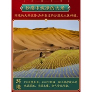 Shaken Manor Desert Fragrant Rice 5kg Xinjiang Rice 5kg Germ Rice 2022 First Grade Xinjiang Rice Vac