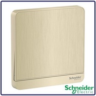 Schneider Electric AvatarOn Switch, cover plate for switch, Hairline Gold