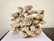 海水缸 珊瑚石