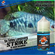 Essen Ikan Sepat Jos Gandos No Boncos 30 Ml | ESSEN BOOSTRIKE HIBRIDA