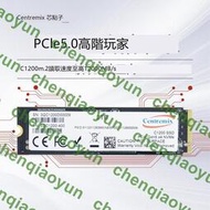 芯點子m2固態硬盤1t筆記本nvme PCIe5.0臺式2t電腦4t ps5游戲SSD