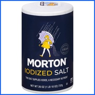 ✙ ✨ ☃ Morton Iodized Table Salt 737g