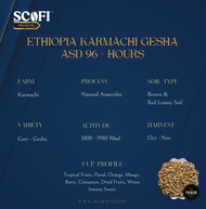 🌿0.5 KG Raw Arabica Coffee Beans: Ethiopia ASD 96 - Hours Karmachi Gesha (Unroasted)🌿