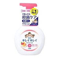 獅王 - 抗菌泡沫洗手液(果香味) 250ml (平行進口)