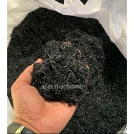 sekam padi Bakar kasar seguni BIOCHAR
