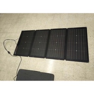 Ecoflow 220 watt bifacial solar panel