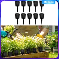 [Etekaxa] 10 Pieces Fertilizer Basket Nutrition Cup Small Bonsai Fertilizer Box with Lid for Plant G
