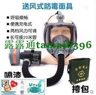 正品有保障 雙箭龍SJL700防毒面具噴漆防農藥化工防工業粉塵配送風機防塵面罩