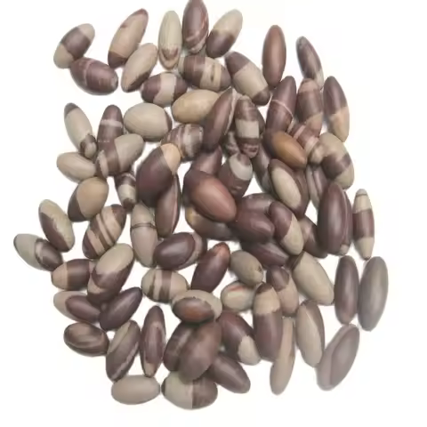 Lot of 10 Shiva Lingam Stones Small 1-1.25" (Shiva Lingham Narmada River India)