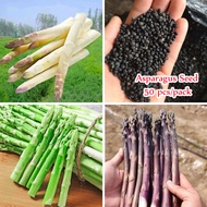 (Fast Grow) 50pcs Green White Asparagus Seed Organic Vegetable Seeds Herbs Seeds American Sweet Asparagus Variety Vegetable Seeds - Basic Farm House Indoor and Outdoor Plants Real Live Plant for Sale Easy To Grow In Local Garden Malaysia Ready Stock