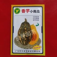 粵蔬牌香芋小南瓜種子 種籽10克原裝廣東省農科院育成芋頭香味南瓜